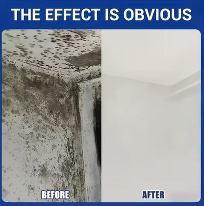 High-Efficiency Wall Cleaner 100 ml each Pack of 2